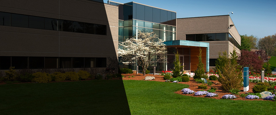 Elm Grove Landscapers