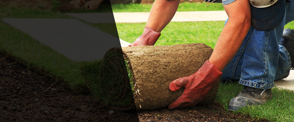 Elm Grove Landscapers